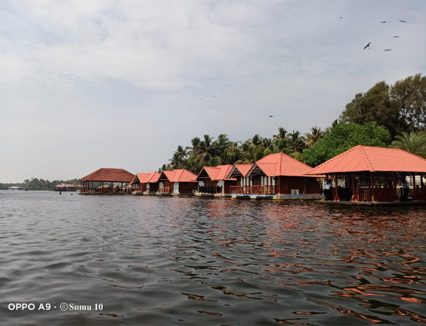 Boat through mangroves